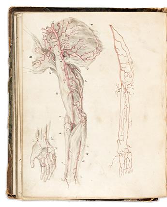 [Medicine & Science] Physicians Illustrated Notebook. England, circa 1844.